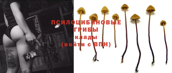 a pvp Беломорск