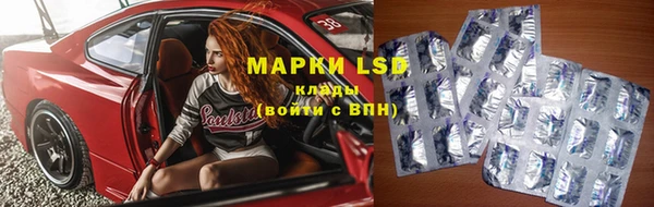 прущие грибы Балахна