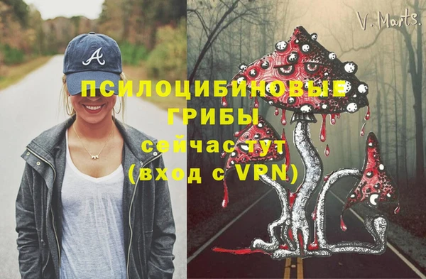 a pvp Беломорск