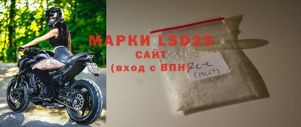 прущие грибы Балахна