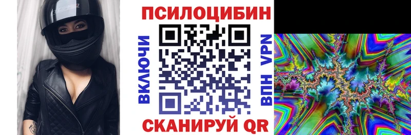 Псилоцибиновые грибы Cubensis  Новая Усмань 
